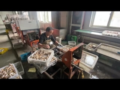 Zamknięcie zaworu rury gazowej z mosiądzu ODM